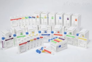 丁二酸酐在深圳網(wǎng)站開發(fā)中的創(chuàng)新應用